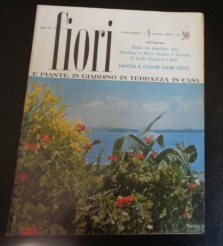 Fiori piante - (,