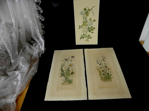 Quadri floreali litografie - 2,