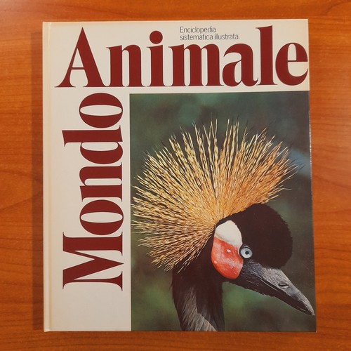 Mondo animale uccelli - mondo,