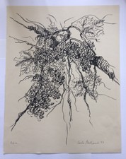 Prova d'autore del 1993 del