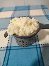 Nodulos de Kefir de Leche