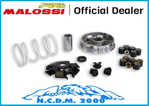 Variatore malossi multivar - variatore,