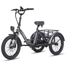 F20 Mate Cargo Ebike 20