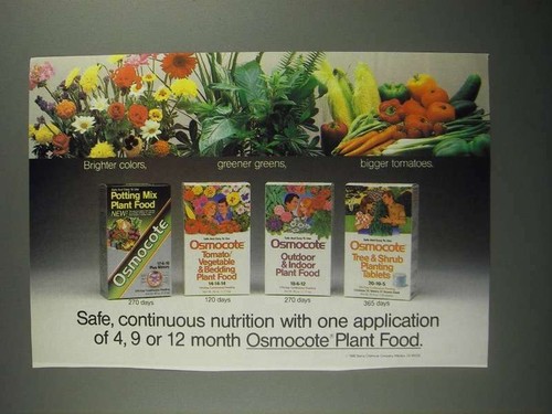 Pubblicità alimenti vegetali - pubblicità,