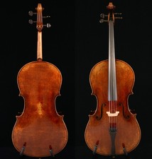 Violoncello Proud Master 7/8