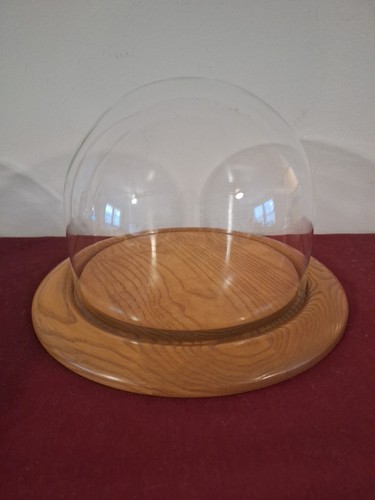 Cupola espositore decorativo