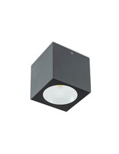 LED Outdoor Ceiling Light