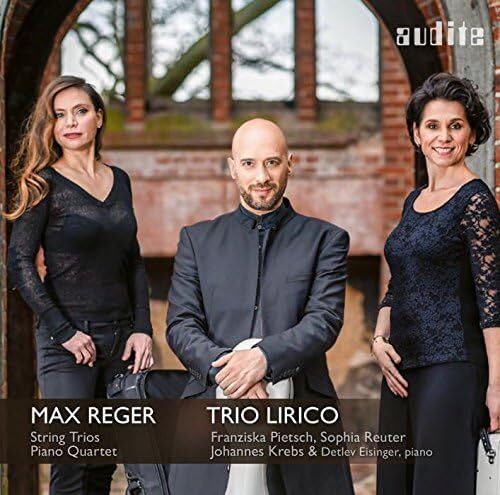 Reger string trios - string,