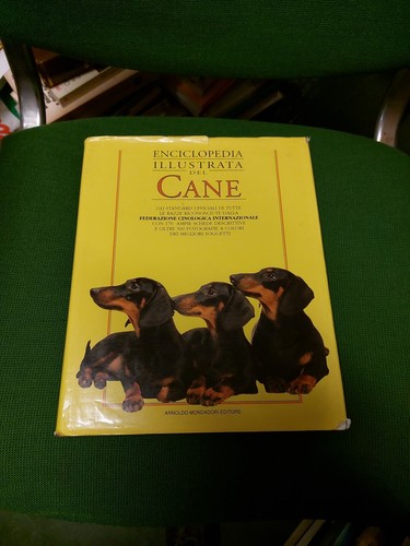 Enciclopedia illustrata del