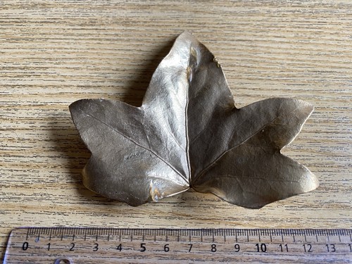 Foglia metallo vassoio - in,