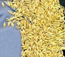 3 kg Pula di farro bio prima scelta materiale di riempimento per cuscini e altro