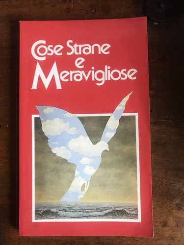 Cose strane meravigliose - e,