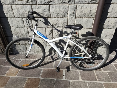 Bici ragazzo usata