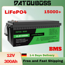 LiFePO4 batteria litio 12V