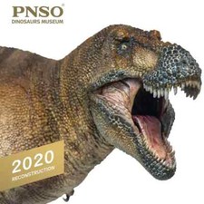 PNSO 2020 Wilson il