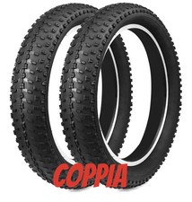 ⭐️ Coppia Pneumatici bici elettrica GRELiving Fat Bike 20x3.0 60TPI resistente