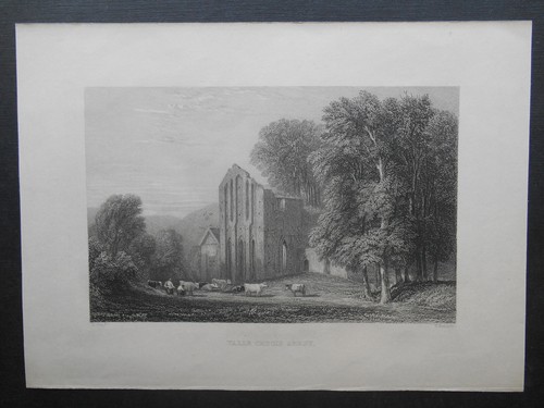 Valle crucis abbey - valle,