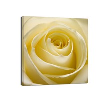 Canvashop Quadri moderni quadrati Fiori Cucina Quadro Stampa su tela canvas 1