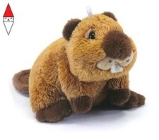 PELUCHE TRUDI SW COL CASTORO