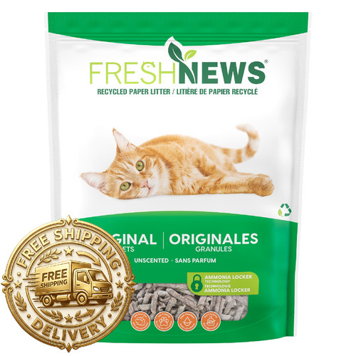 Fresh news carta riciclata - news,