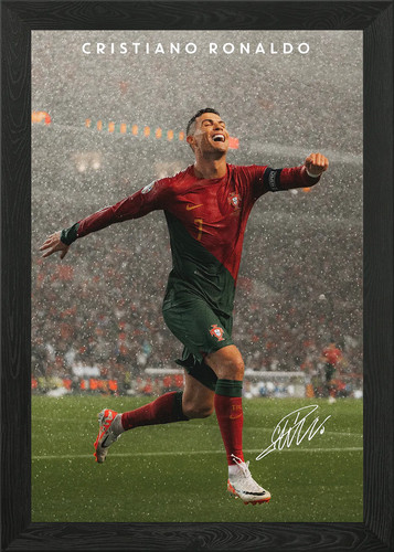 Quadro stampa tela poster - quadro,