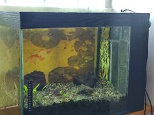 Acquario 100Lt completo usato - 35x47x63