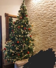 albero di natale maestoso 240 cm con pigne