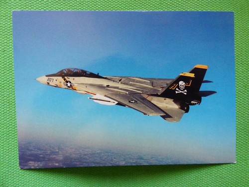 Navy grumman f 14 - ,