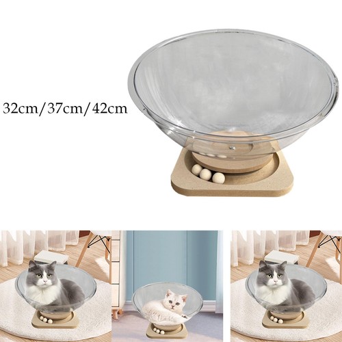 Space capsule cat letto - cat,