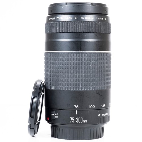 Canon 300 0 5 6 - 75-300, iii
