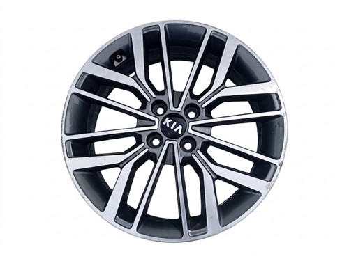 Cerchio lega kia rio - lega,