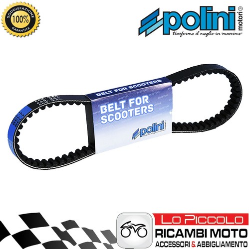 248 003 cinghia - 248.003,