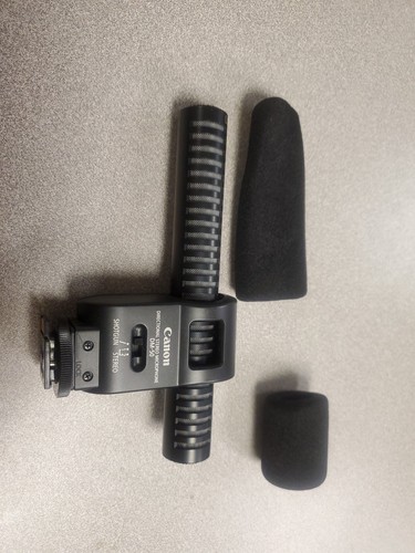 Canon directional stereo - dm-50,