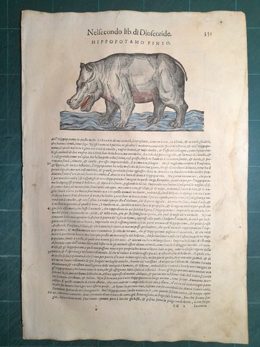 Mattioli matthioli erbario - matthioli, a