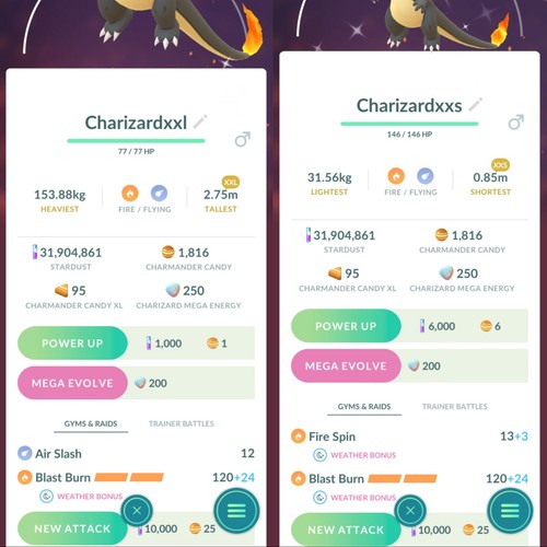 Xxl xxs shiny charizard - xxl,