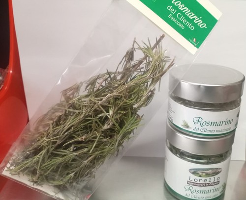 Rosmarino del cilento - rosmarino,