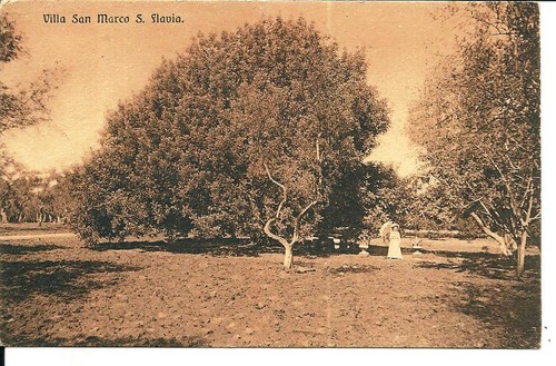 018 1921 santa flavia - sc,