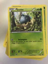 Carte Pokemon Set Nero e