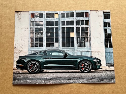 Ford mustang bullitt special - mustang,