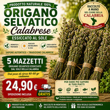 Origano selvatico essiccato - origano,