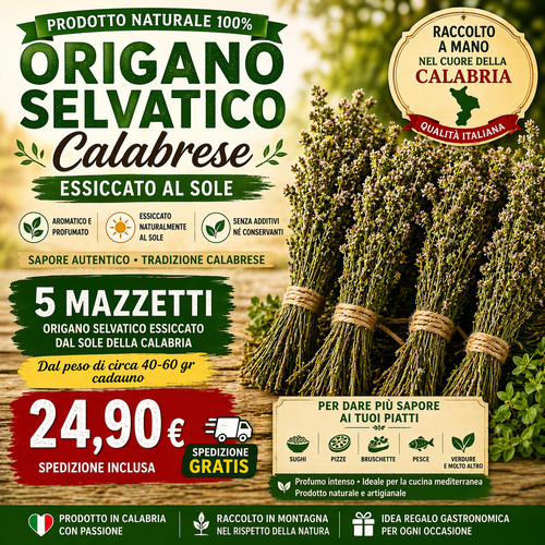 Origano selvatico essiccato - selvatico,