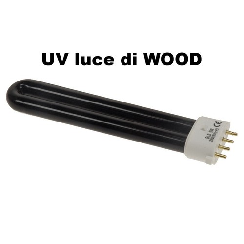 Lampadina attacco g23 - lampadina, 4