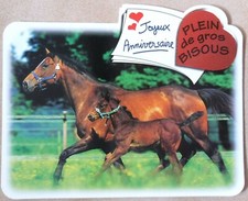 Cavalli Puledri Mini-Poster Rigida Molto Buono Stato Buon Compleanno