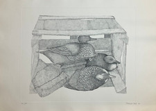 Mariarosa Mutti ( Cerro Maggiore 1952 ) Opera d' Arte Incisione Acquaforte 1974