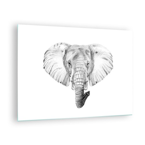 Quadro vetro 70x50cm - quadro,