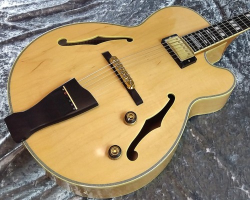 Ibanez 200 pat - pat, metheny