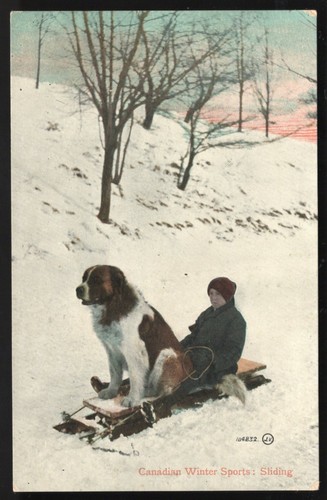Cartolina canada 1911 sport - cartolina,