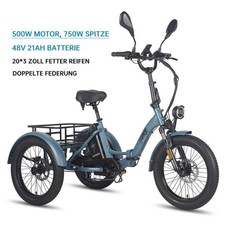 Triciclo elettrico Fafrees F20