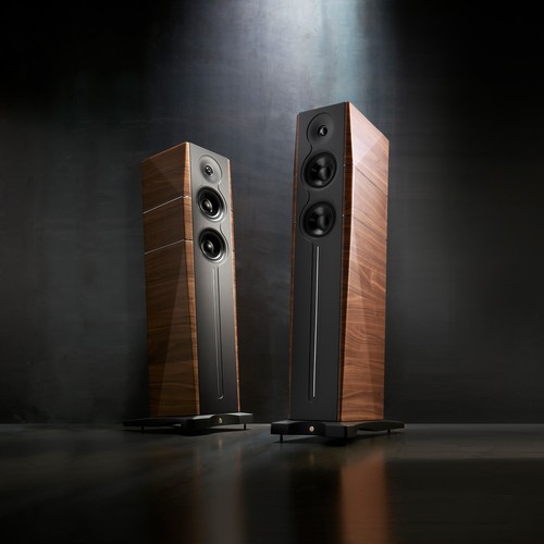 Gold note evo noce - gold,