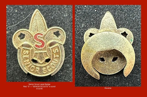 Boy scouts senior - scouts, -"senior